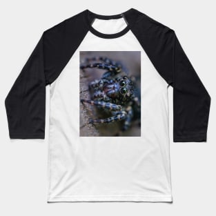 Teeny-Tiny Dark Jumping Spider Macro Photograph Baseball T-Shirt